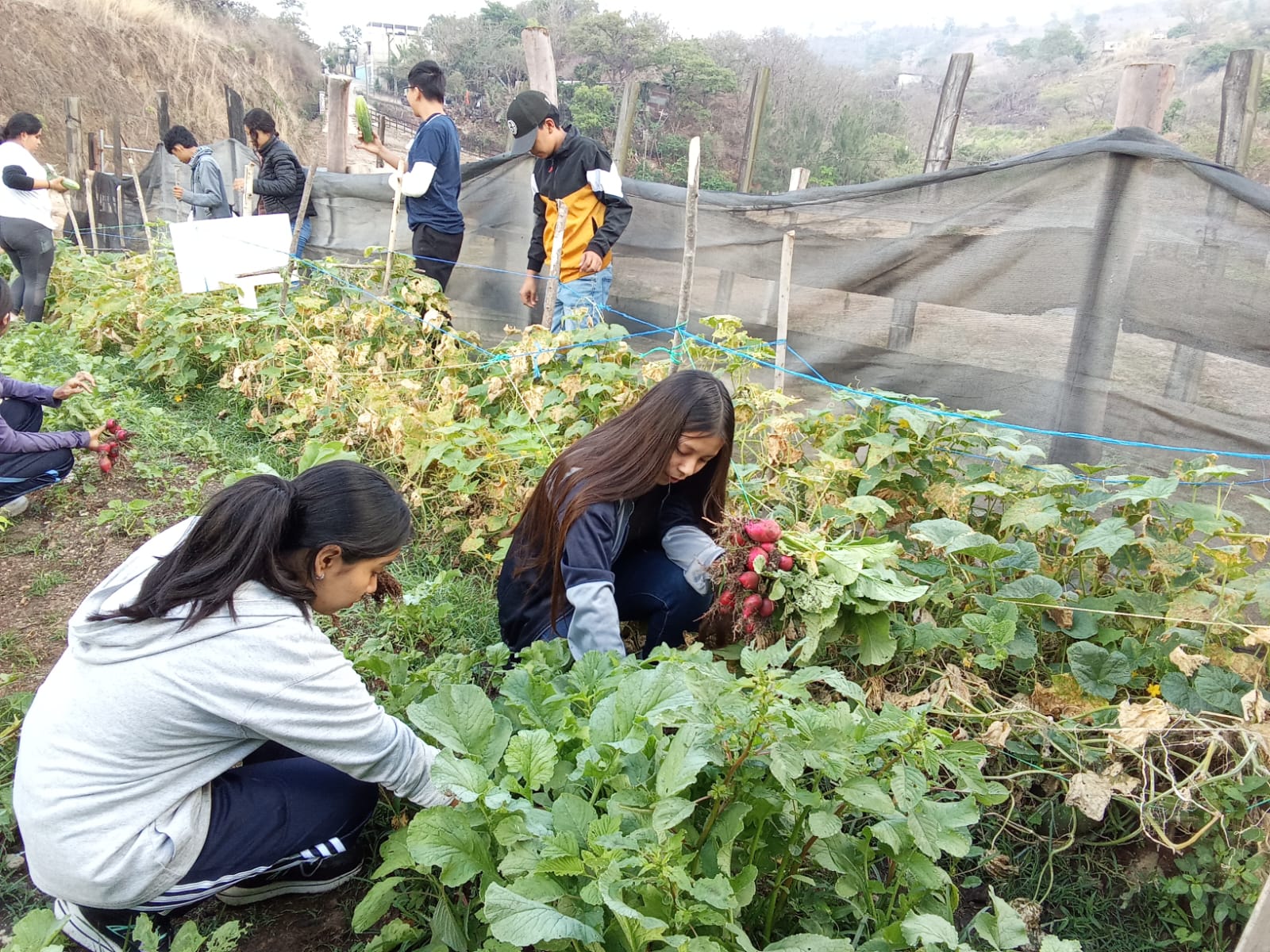 Youth in garden